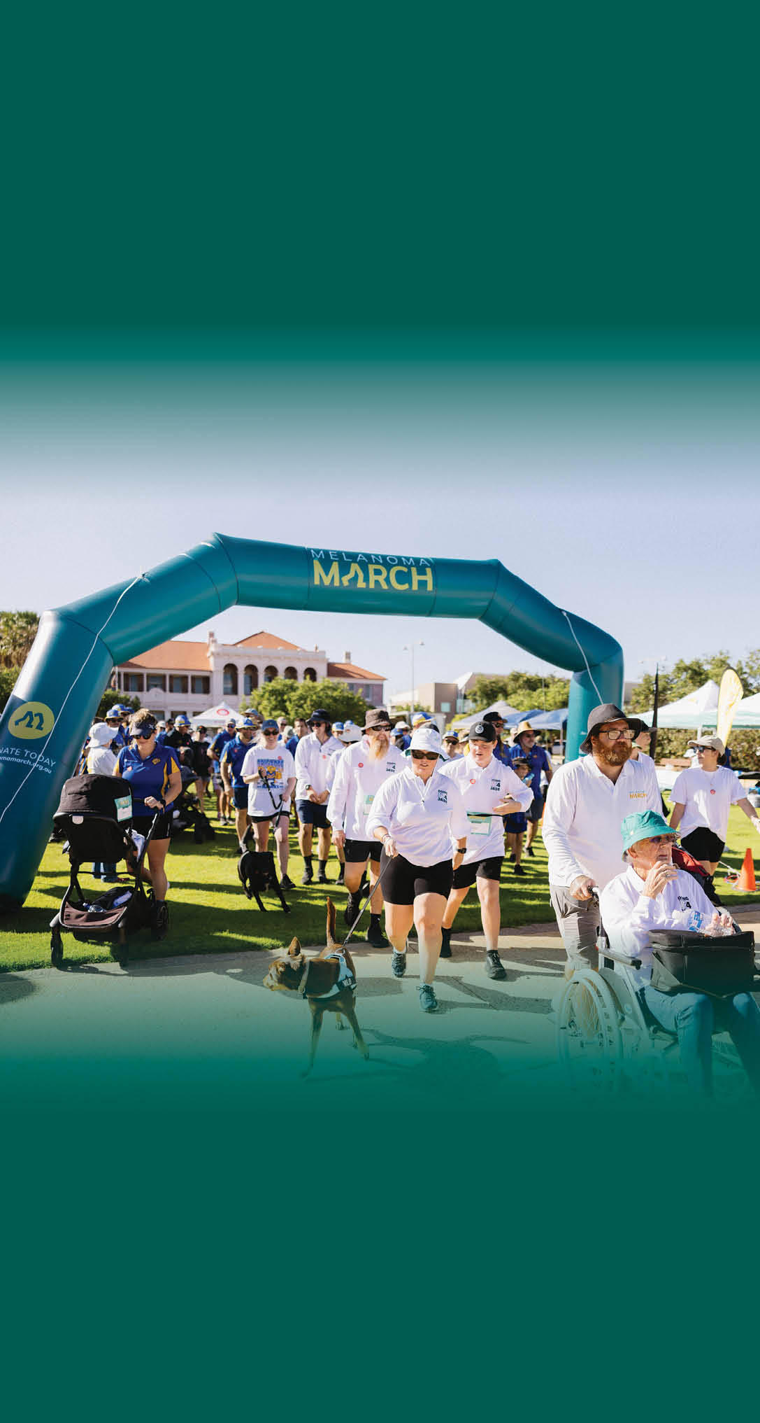 Groin Lymph Node Dissection | Melanoma Institute Australia